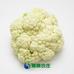 蔬菜名稱:【燎原特惠】菜花優(yōu)質(zhì)菜花綠色種植綠色無公害蔬菜新鮮青菜順豐